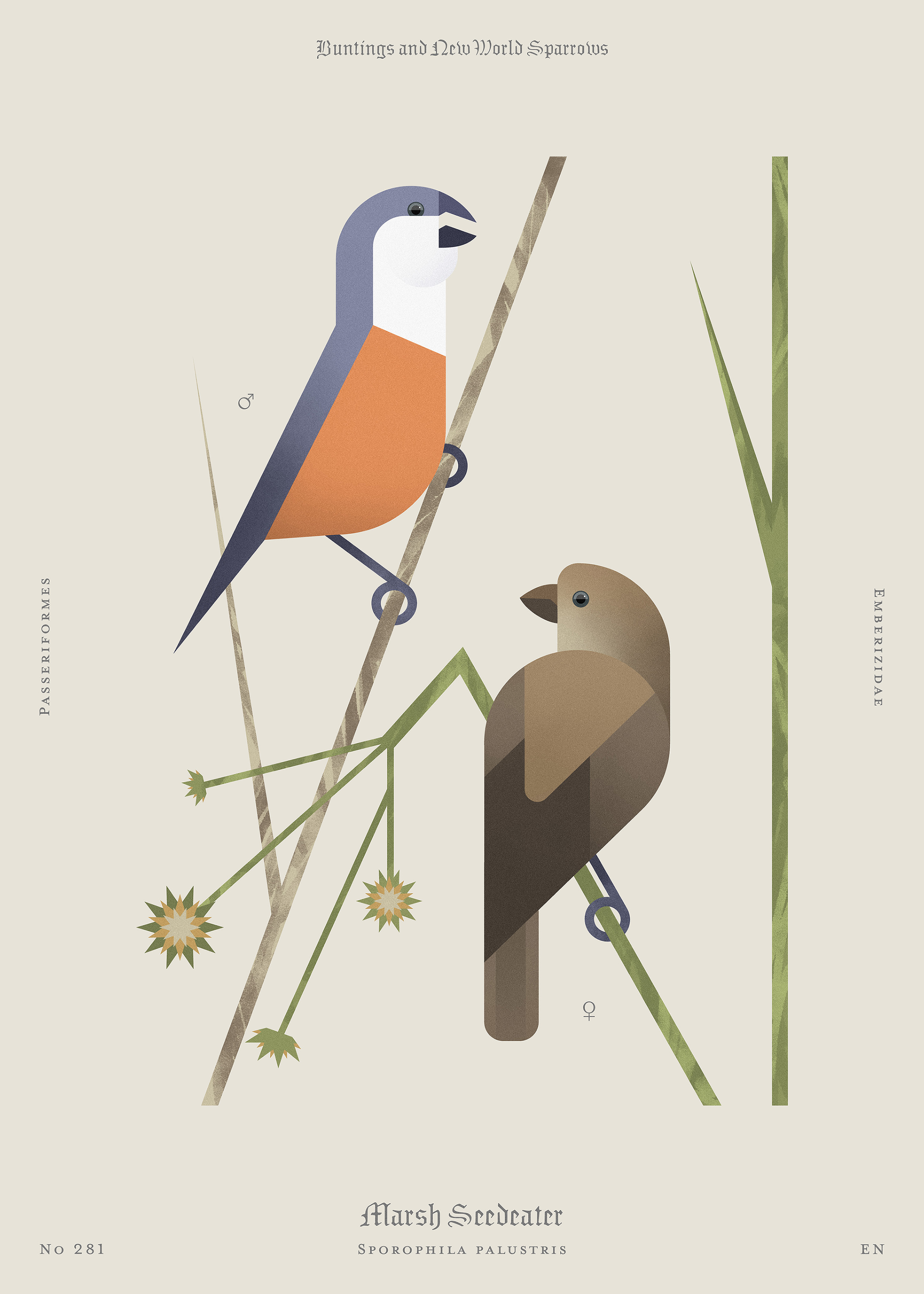 Beauty of Birds by Agnieszka Więckowska - Creative Work - $i