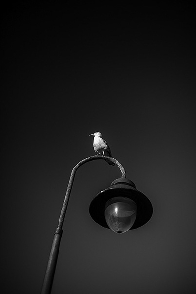 Light on - Light off by sylviagusan - Creative Work - $i