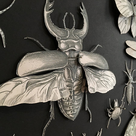 Insectarum Papercut