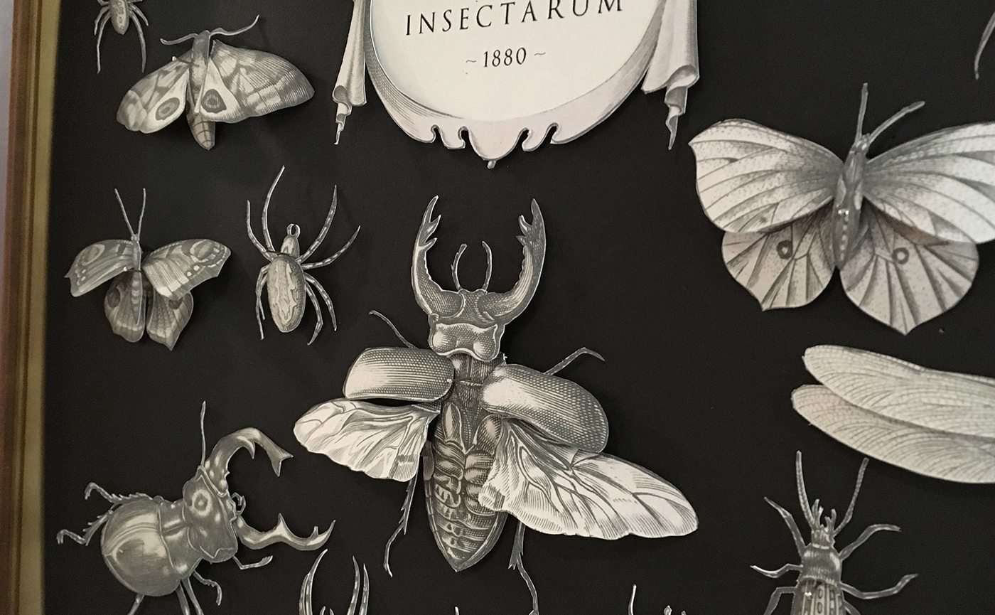 Insectarum Papercut by María Luján - Creative Work - $i