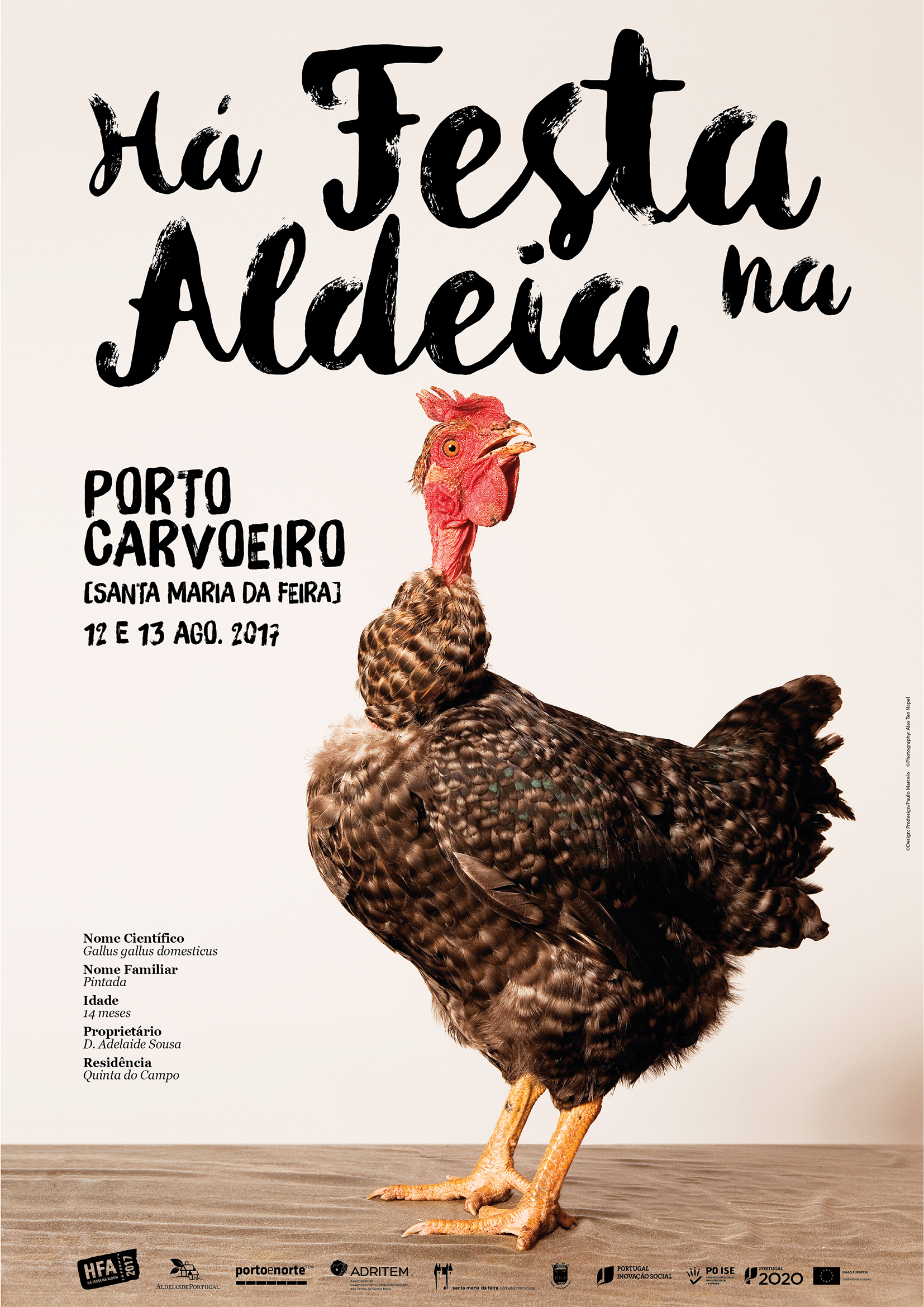 Há Festa na Aldeia by Paulo Marcelo - Creative Work - $i