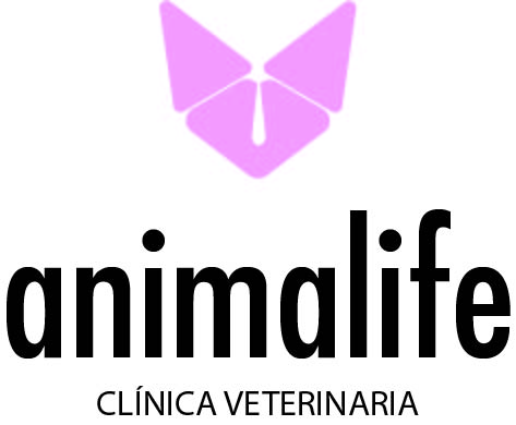Animalife. Clínica veterinaria. by Isabel Ruiz Gallardo - Creative Work