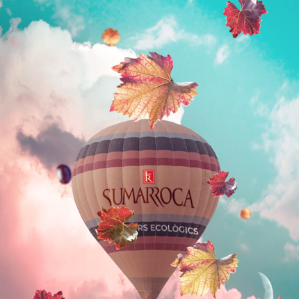 SUMARROCA. Motion Graphics. by Disculpi Studio - Creative Work - $i