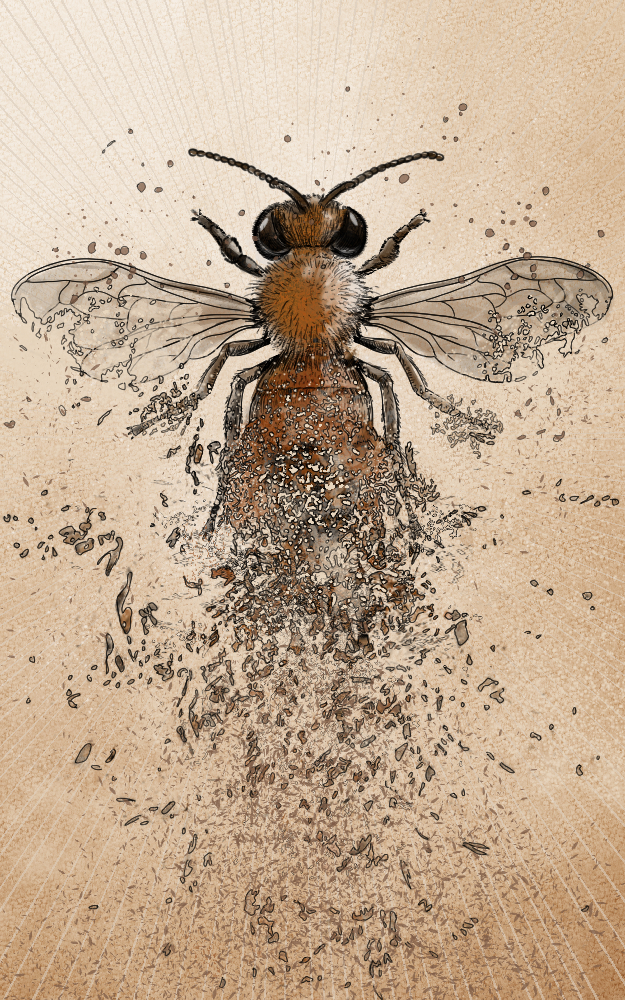 Pollinators by Rocío Iriarte - Creative Work