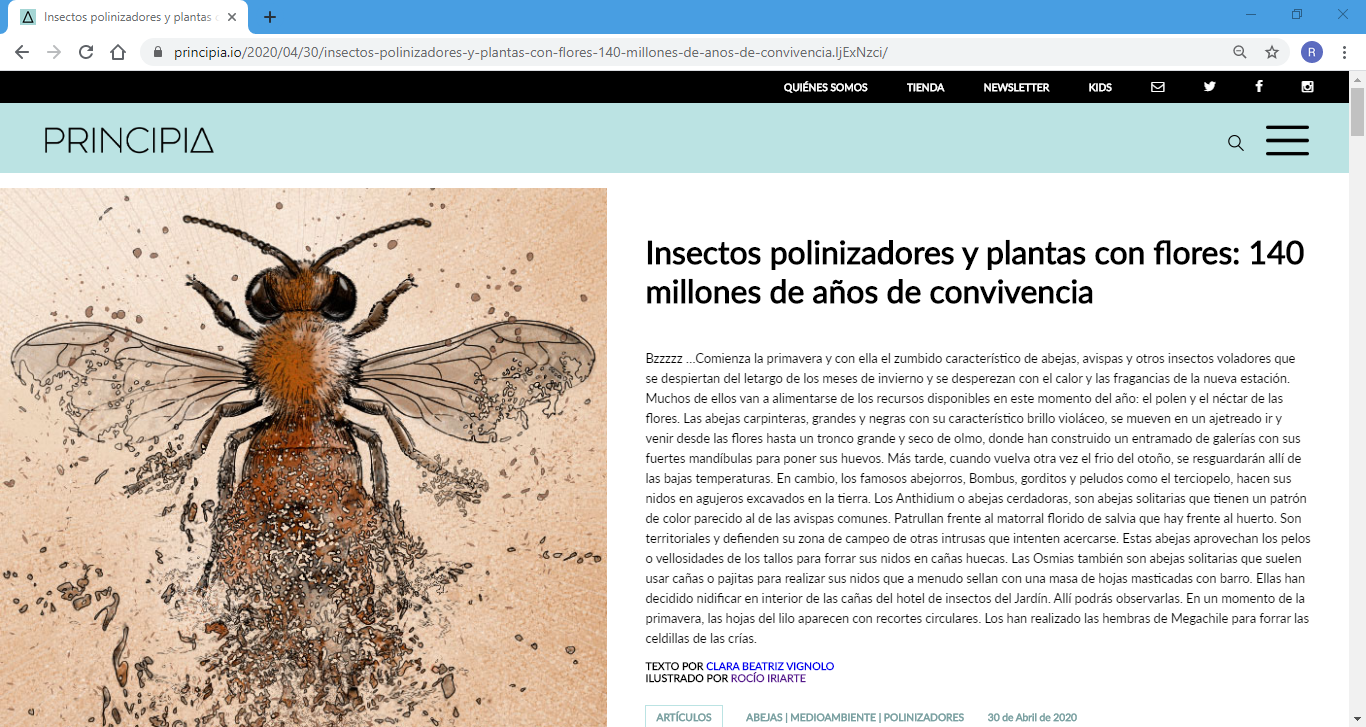 Pollinators by Rocío Iriarte - Creative Work - $i