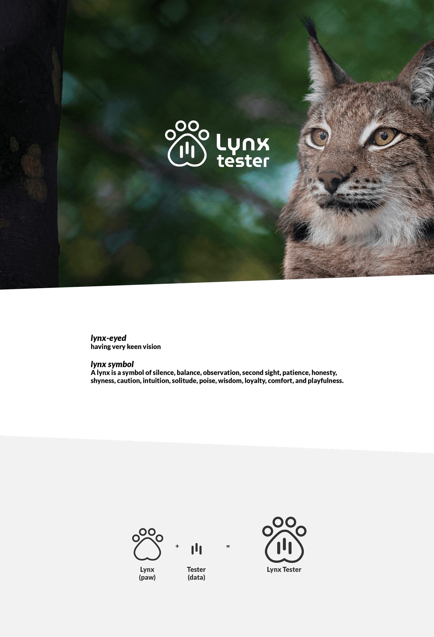 Branding Lynx Tester by Àngels Pinyol - Creative Work