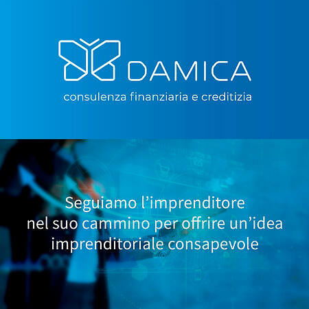 DAMICA - BRAND IDENTITY E WEBSITE