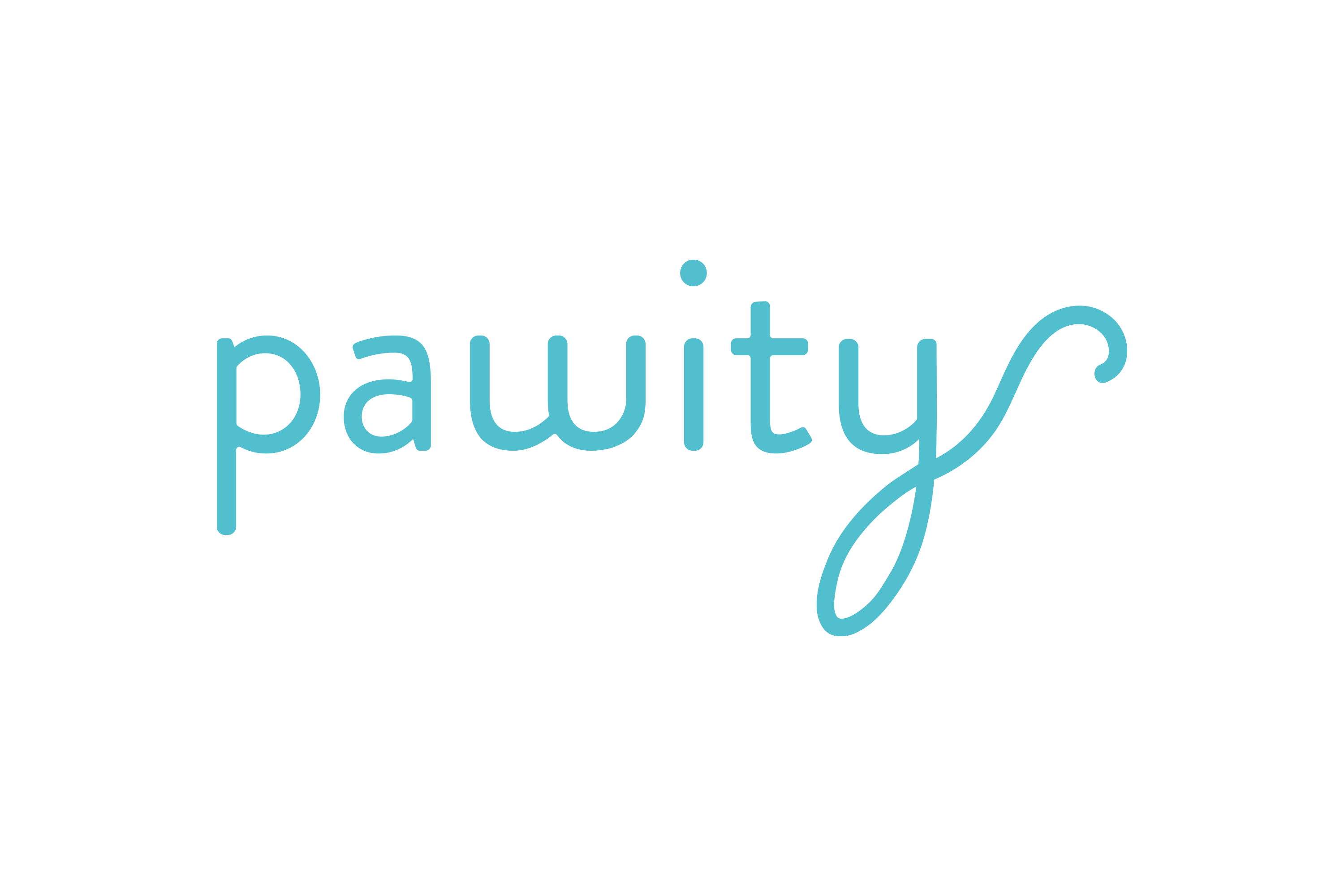 Pawity by María - Creative Work